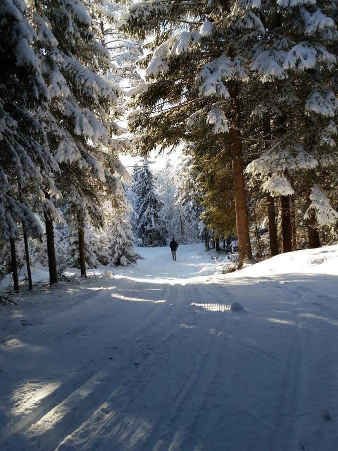 Haugtun Gardspensjonat Og Leiligheter Nordre Land Екстер'єр фото